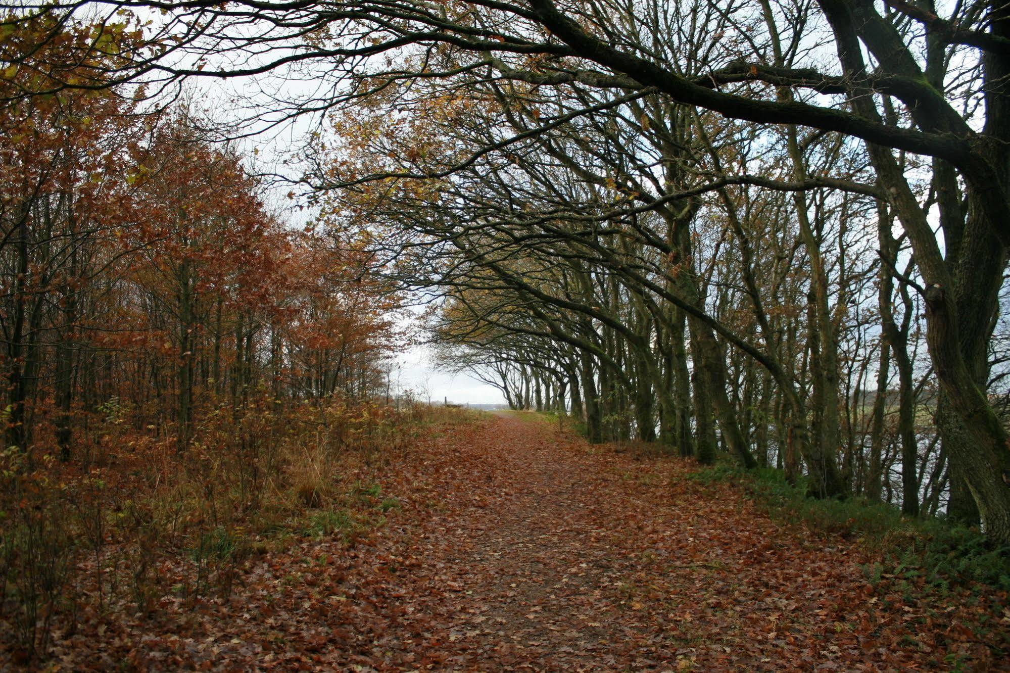 Mejrup Bed And Breakfast Holstebro Buitenkant foto